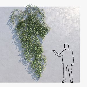 3D ivy - wall model