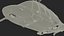 Agusta AW109S Grand Rigged