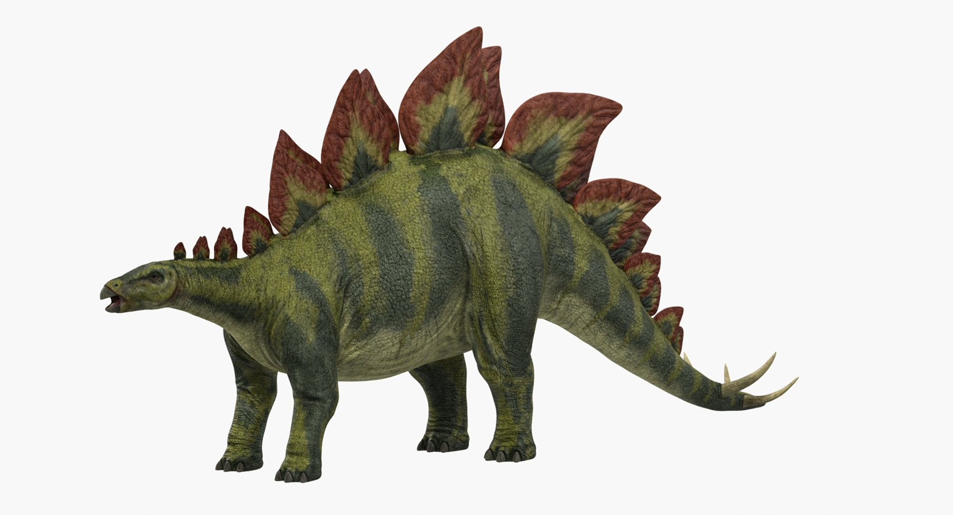 3d Model Stegosaurus Rigged