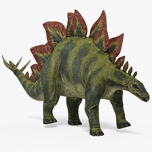 Stegosaurus Rigged 3D Model