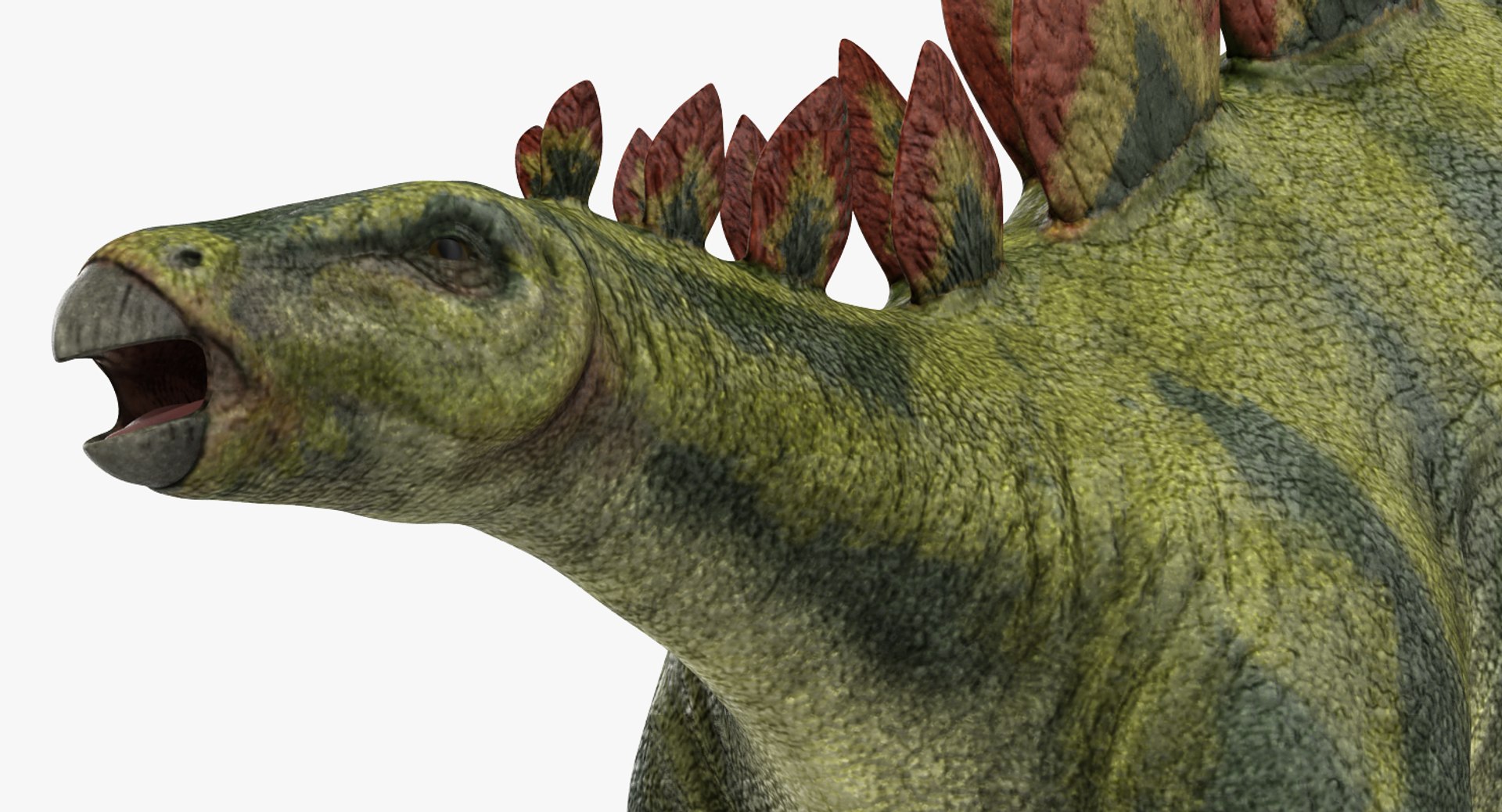3d Model Stegosaurus Rigged