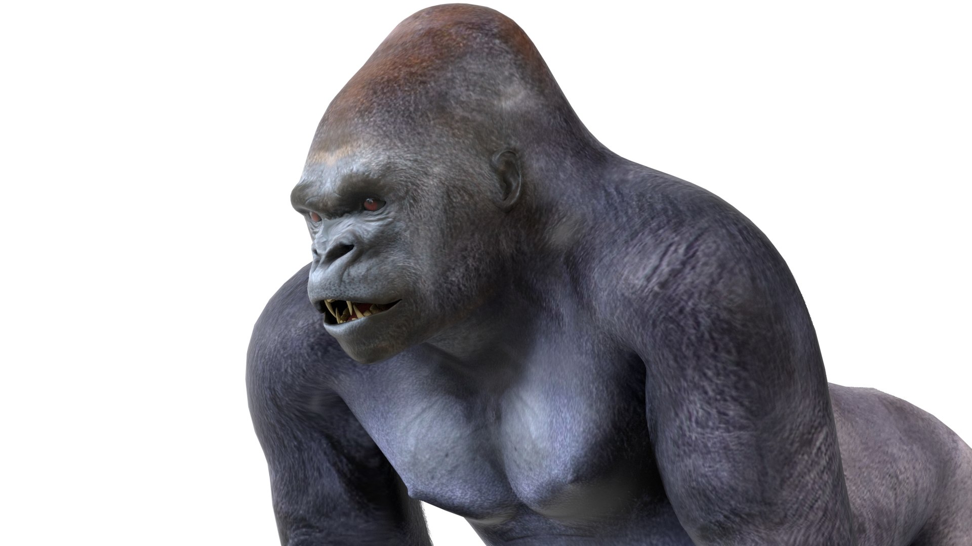 Gorilla 3D model https://p.turbosquid.com/ts-thumb/3q/Ejoe7u/3r/5/jpg/1785210855/1920x1080/fit_q87/c9f0b2d4a73e272a44b2f9e60dcf13f079a55f84/5.jpg