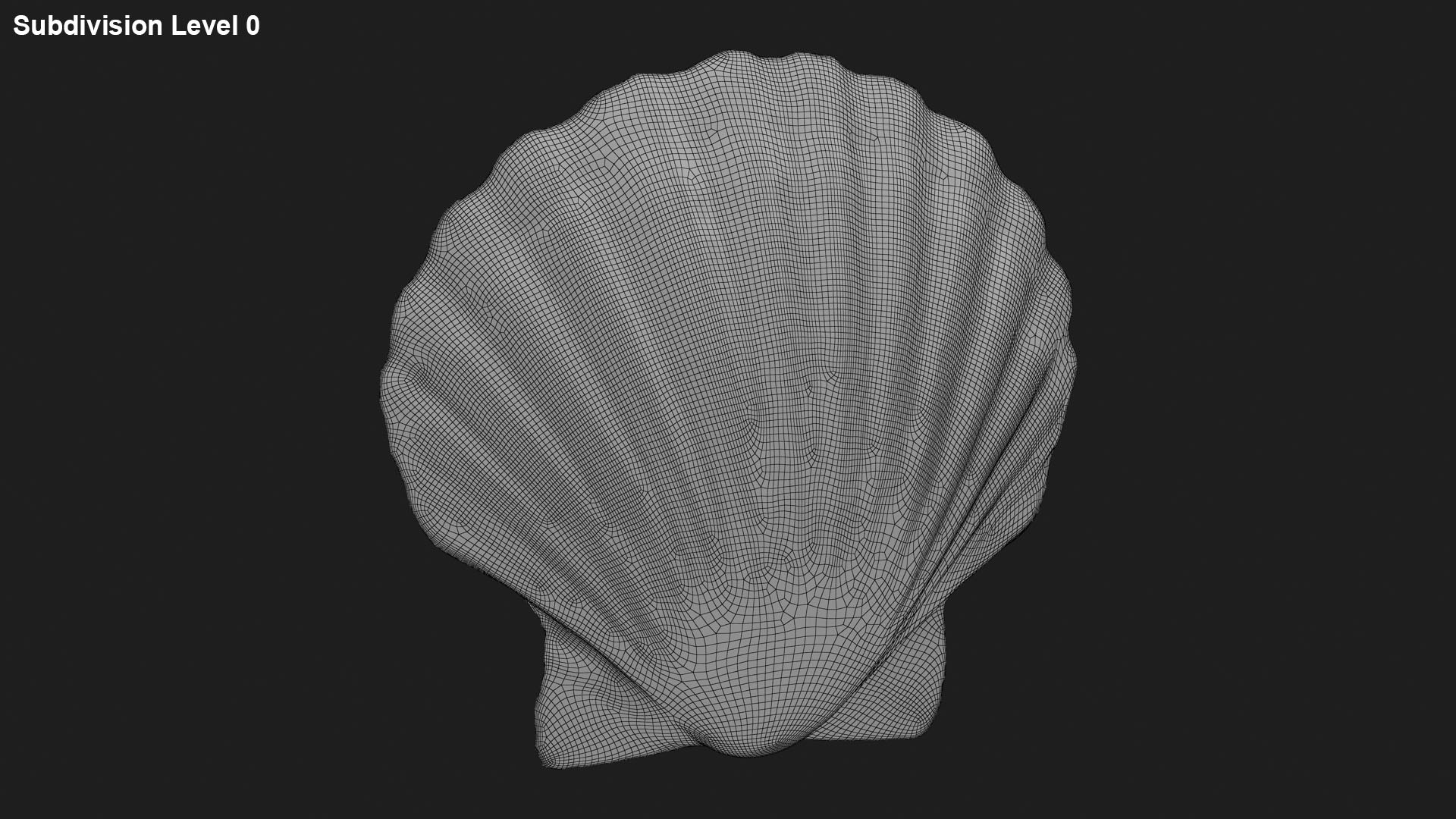 Clam Shell 05 3D Model - TurboSquid 2271431