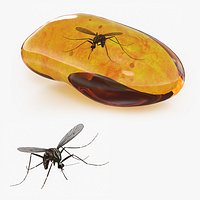 Amber Stone with Mosquito Fossil