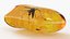 Amber Stone with Mosquito Fossil 3D