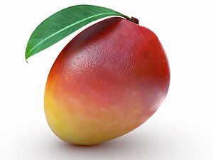 mango 3d model