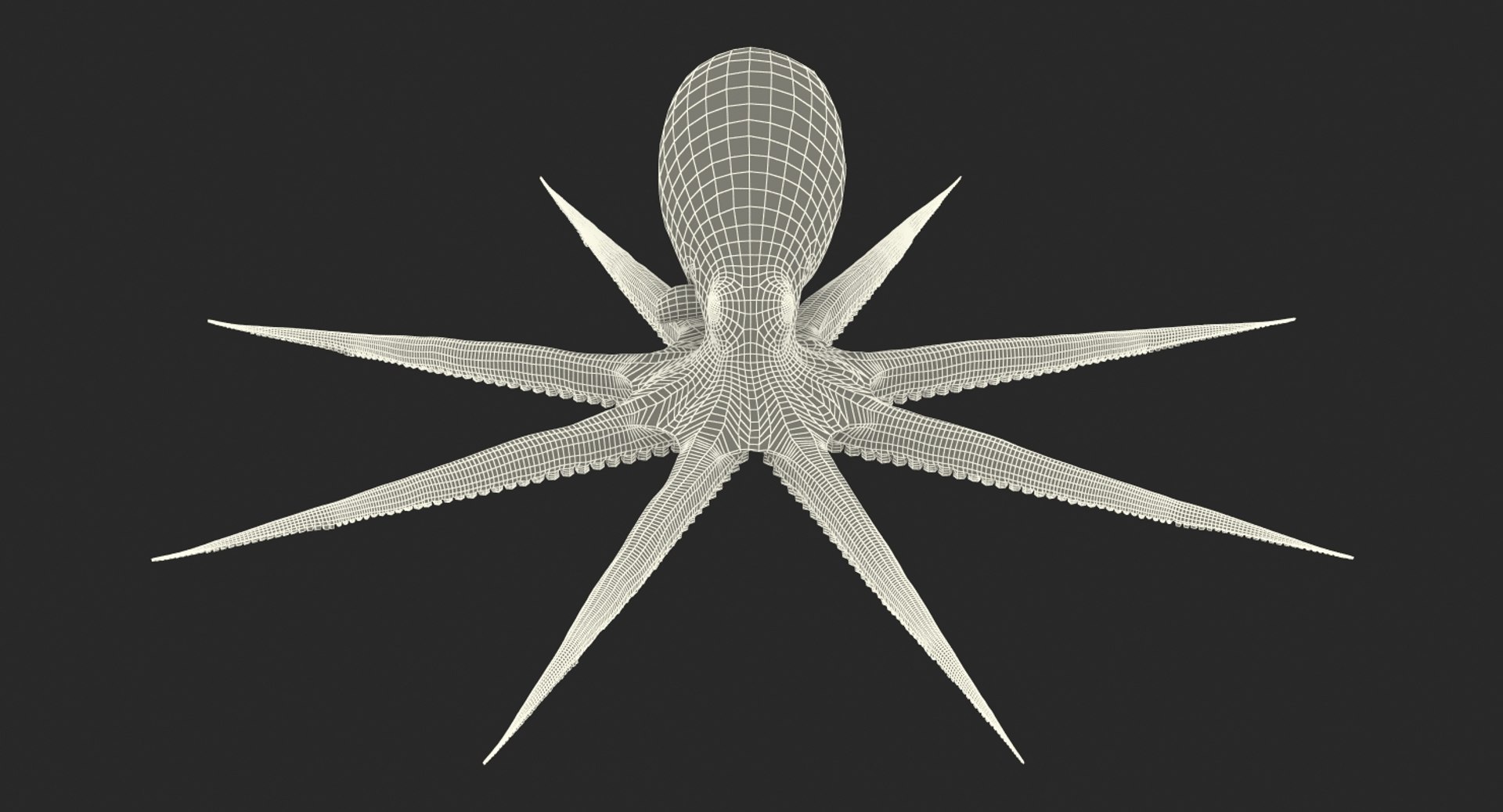 Common Octopus Rigged 3d Model