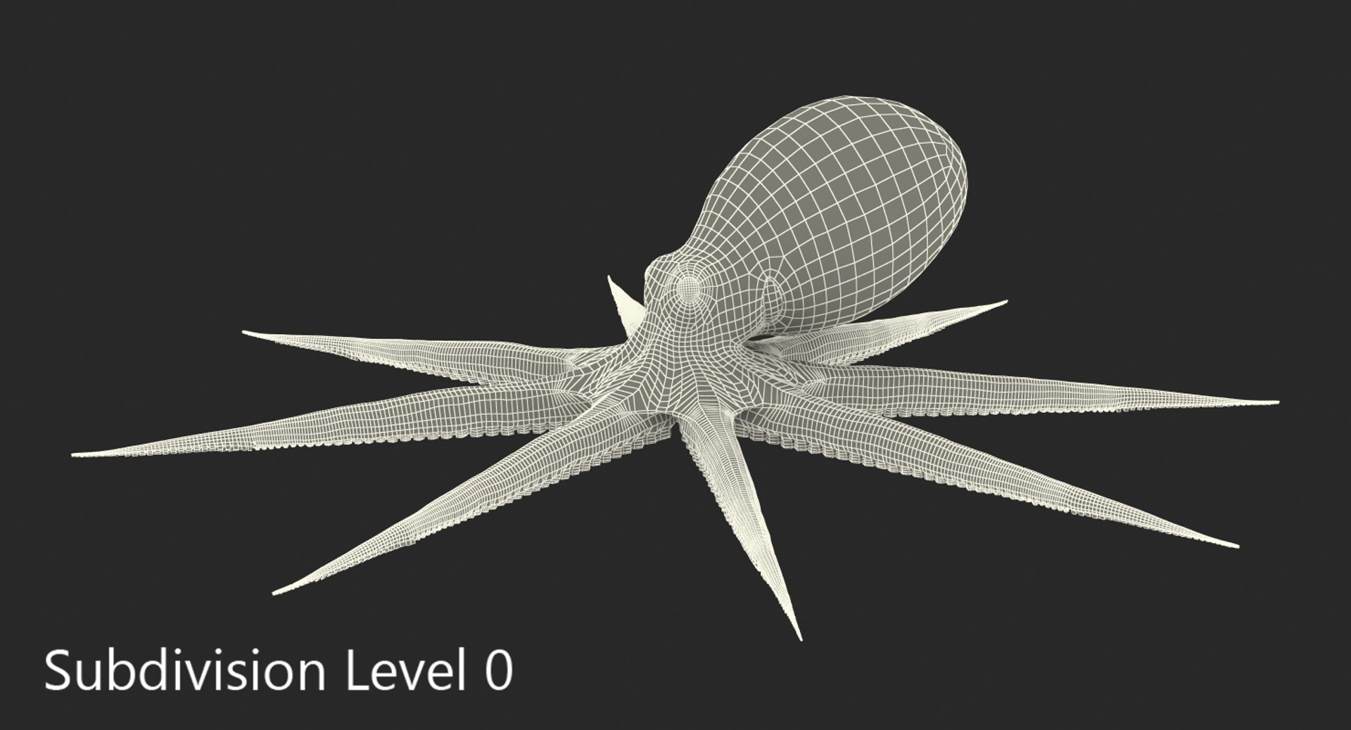 Common Octopus Rigged 3d Model