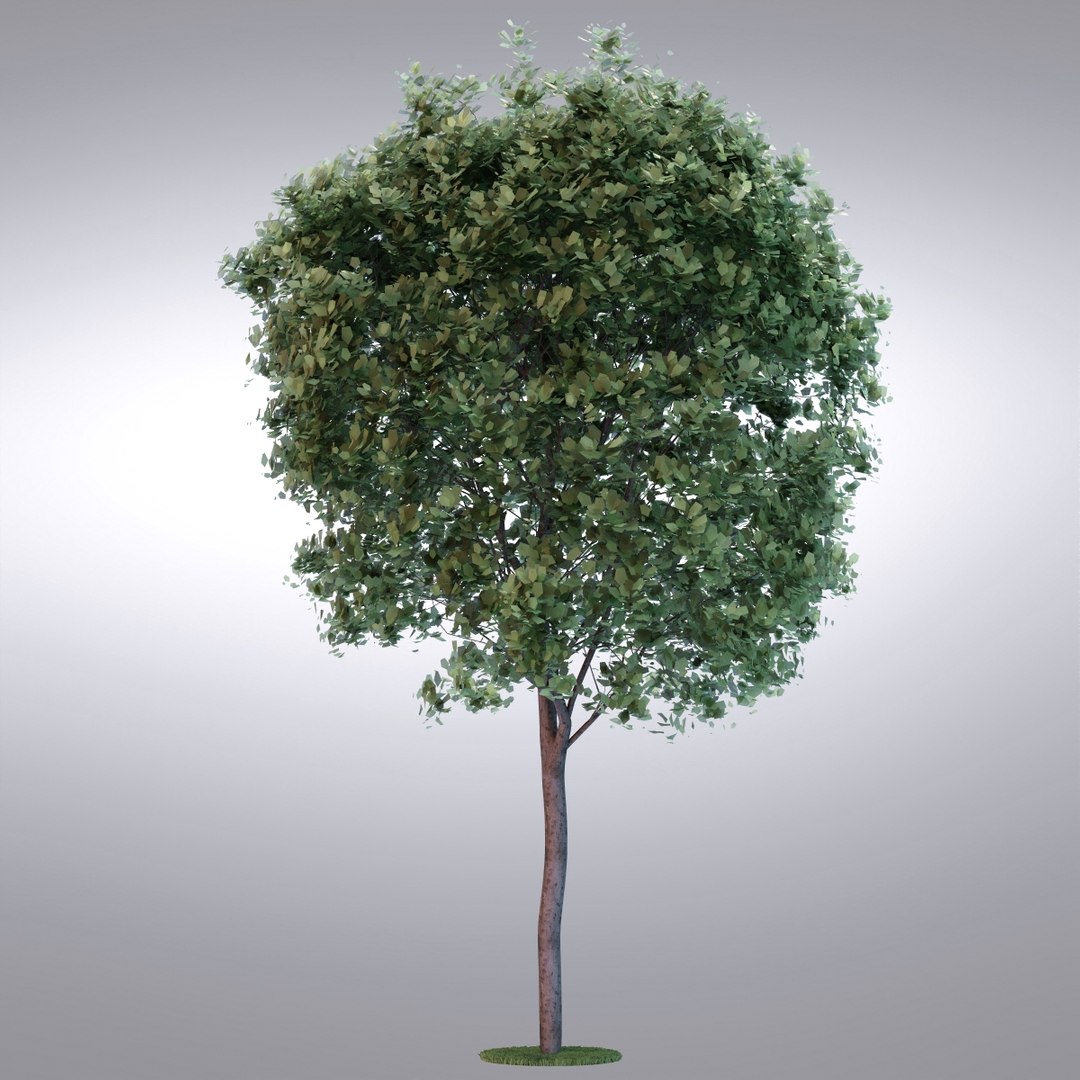 Hi Realistic Series Tree Max