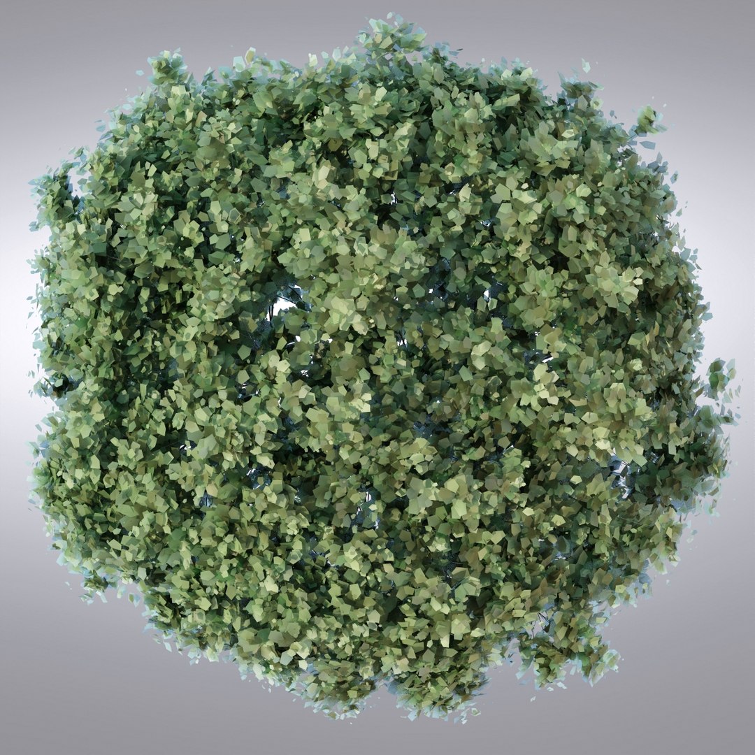 hi realistic series tree max https://p.turbosquid.com/ts-thumb/3q/l8BwMc/XsX4GBV0/tree19_0004/jpg/1345735829/1920x1080/fit_q87/da46e68f1fa637b29019fb219048ee8d76938114/tree19_0004.jpg