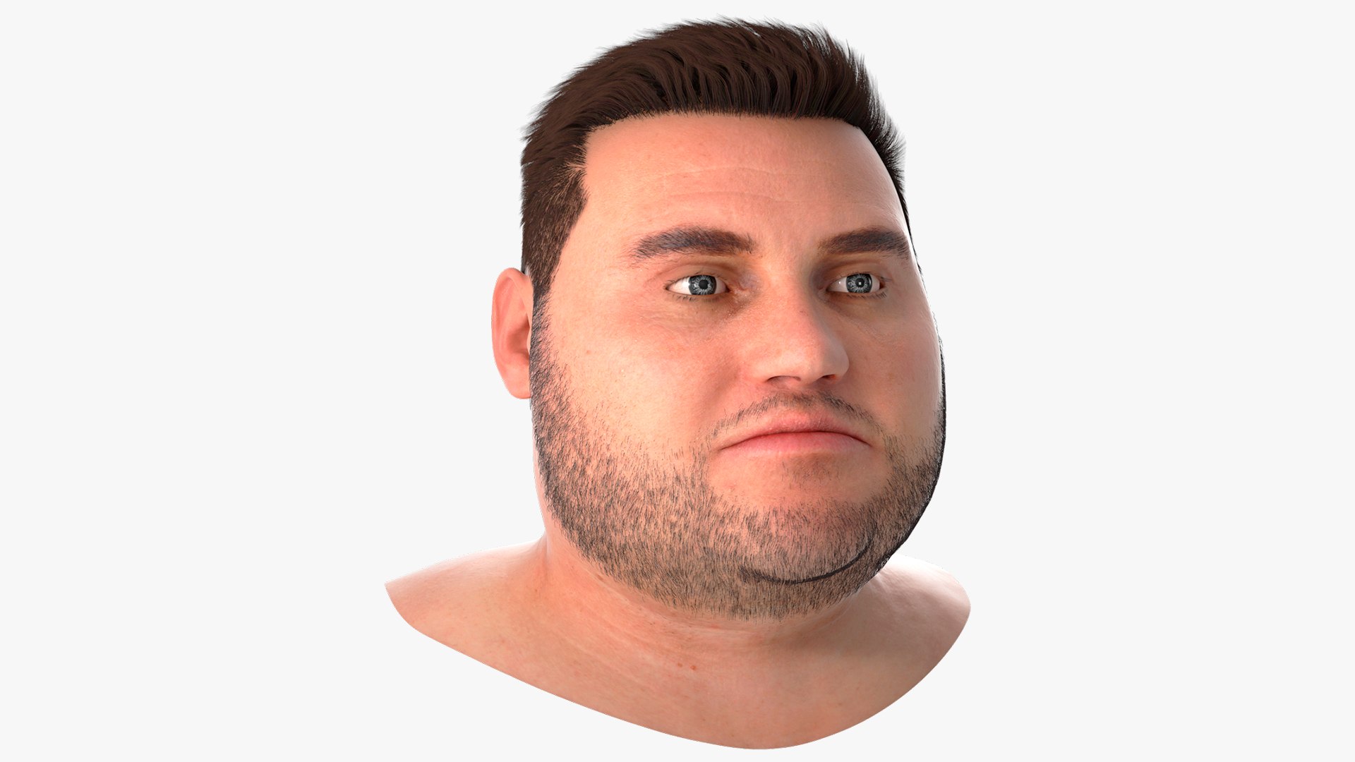 Full-Faced Male Head Bust Fur 3D model preview