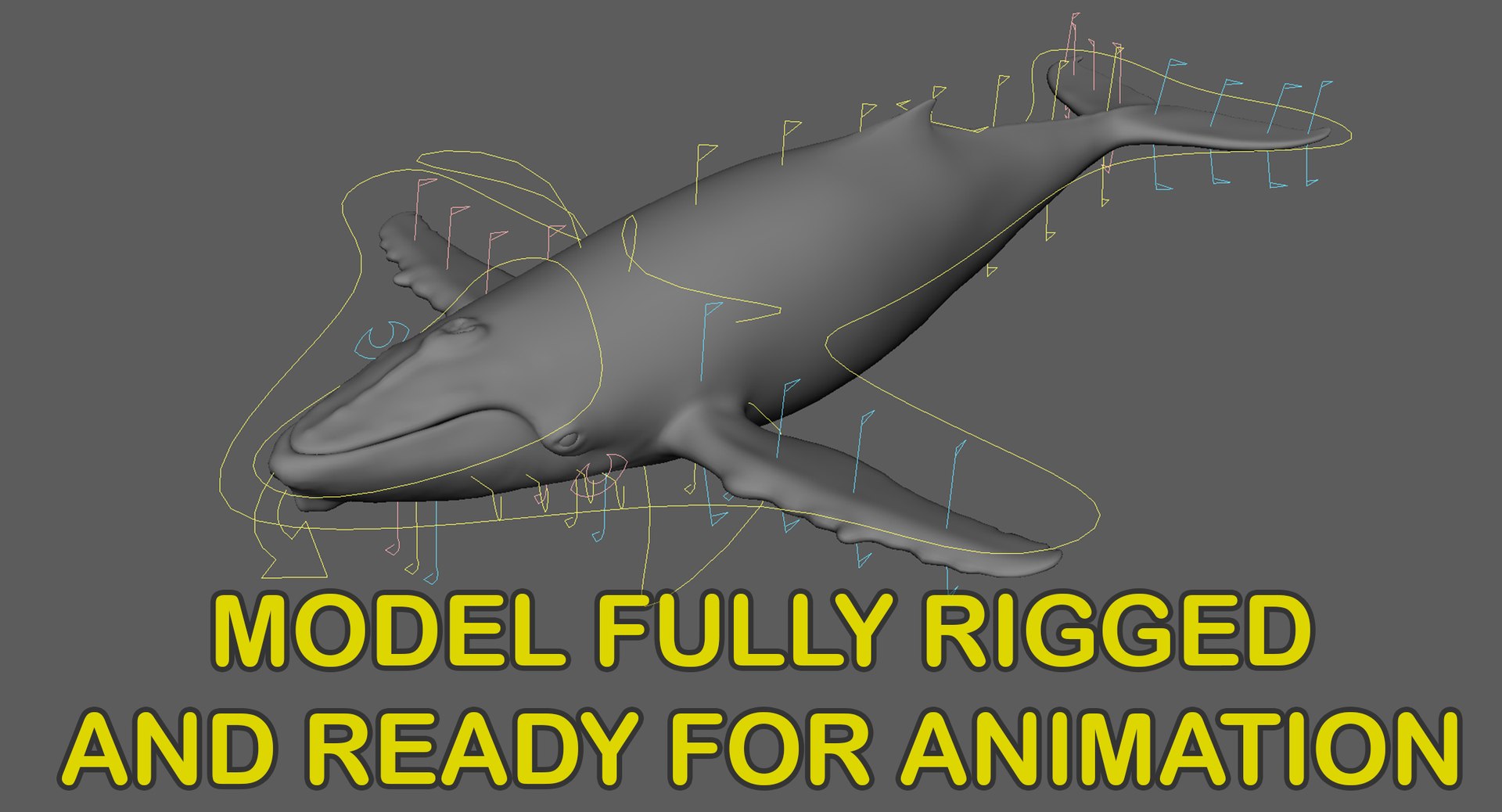3D model humpback whale animation https://p.turbosquid.com/ts-thumb/3q/rRhqyD/1ACGSeGJ/rigged_wide/jpg/1559798443/1920x1080/fit_q87/cb0879127b93af1ea8bed8b1b9baa5c85d2bb27e/rigged_wide.jpg