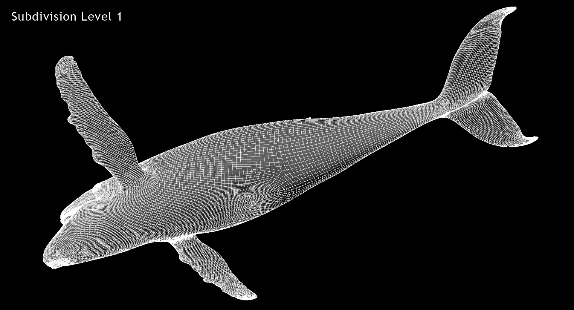 3D model humpback whale animation https://p.turbosquid.com/ts-thumb/3q/rRhqyD/TFRYg8QW/w4/jpg/1559672207/1920x1080/fit_q87/c03278d7f874f855389f0c00e014542b9877dcbb/w4.jpg
