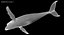 Humpback Whale (Animowany)