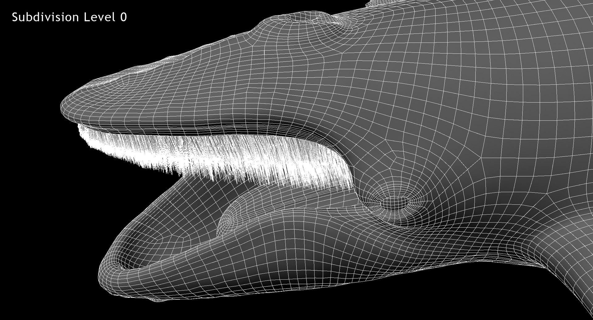 3D model humpback whale animation https://p.turbosquid.com/ts-thumb/3q/rRhqyD/ThOxMZ0O/w5/jpg/1559672207/1920x1080/fit_q87/f1d370445fb9243b6e33734d148cbed274c57ad1/w5.jpg