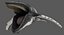 Humpback Whale (Animowany)