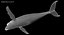 Humpback Whale (Animowany)