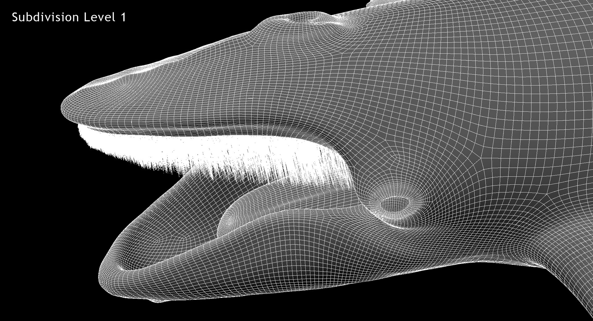 3D model humpback whale animation https://p.turbosquid.com/ts-thumb/3q/rRhqyD/oxxezXED/w6/jpg/1559672207/1920x1080/fit_q87/fd0f078cbbc7f47c4d26c7db1deae7b5e09ccfd9/w6.jpg