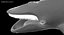 Humpback Whale (Animowany)