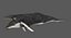 Humpback Whale (Animowany)