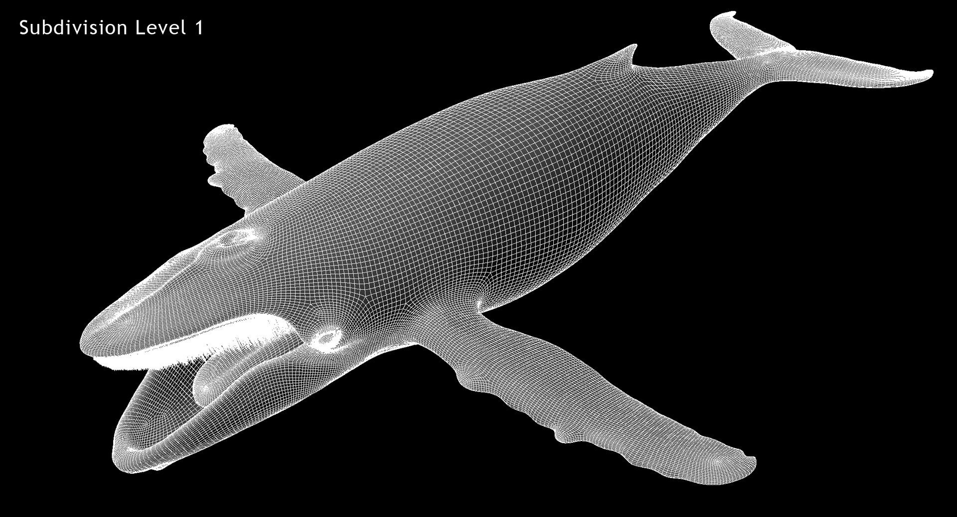 3D model humpback whale animation https://p.turbosquid.com/ts-thumb/3q/rRhqyD/swkUWdjN/w2/jpg/1559672207/1920x1080/fit_q87/c13c1a2e4988be0cb144bd6e361c83ac4f5a8266/w2.jpg