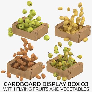 3D model cardboard display box 03