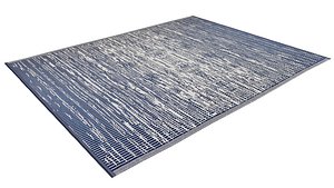 Room Carpet  3D
