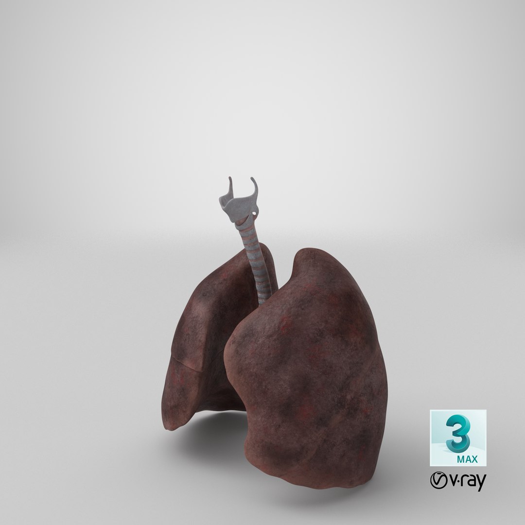Smoker Lungs Anatomy 3D - TurboSquid 1912047