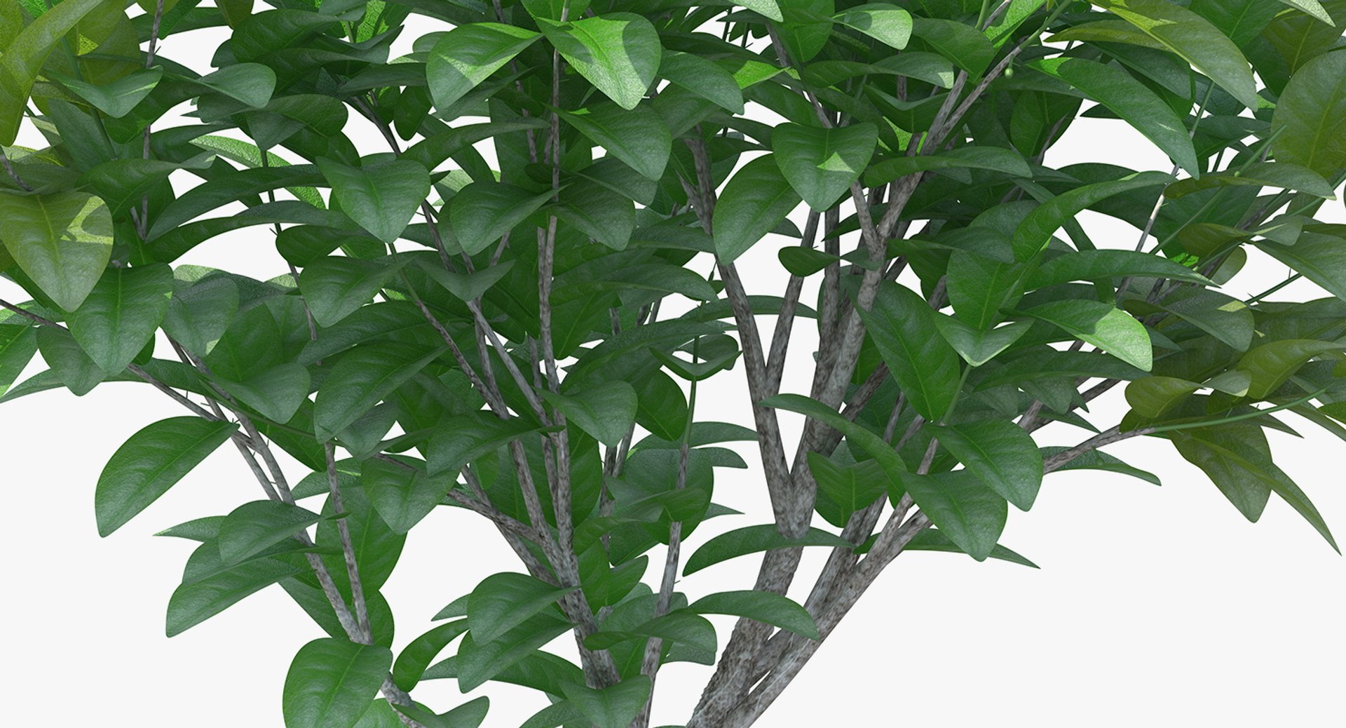 3D model small tree - TurboSquid 1378759