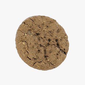 Cookie with Oats and Yogurt Version B