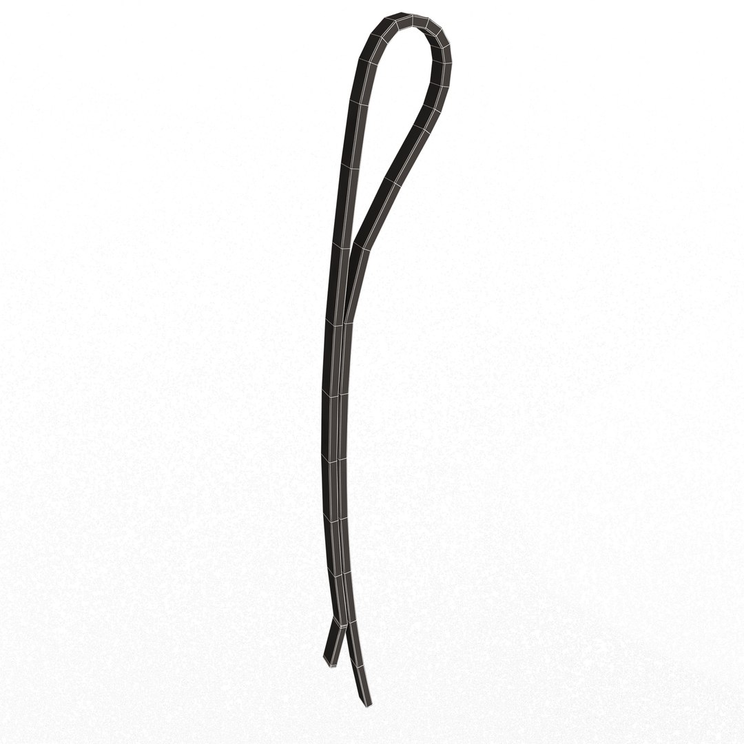 3D Hairpin 02 model https://p.turbosquid.com/ts-thumb/3r/KXCqfS/5R/wireframelowhairpin022/jpg/1676478867/1920x1080/fit_q87/a972214c9cde222f1bd8fa2e299f9ee1c7d11e1e/wireframelowhairpin022.jpg