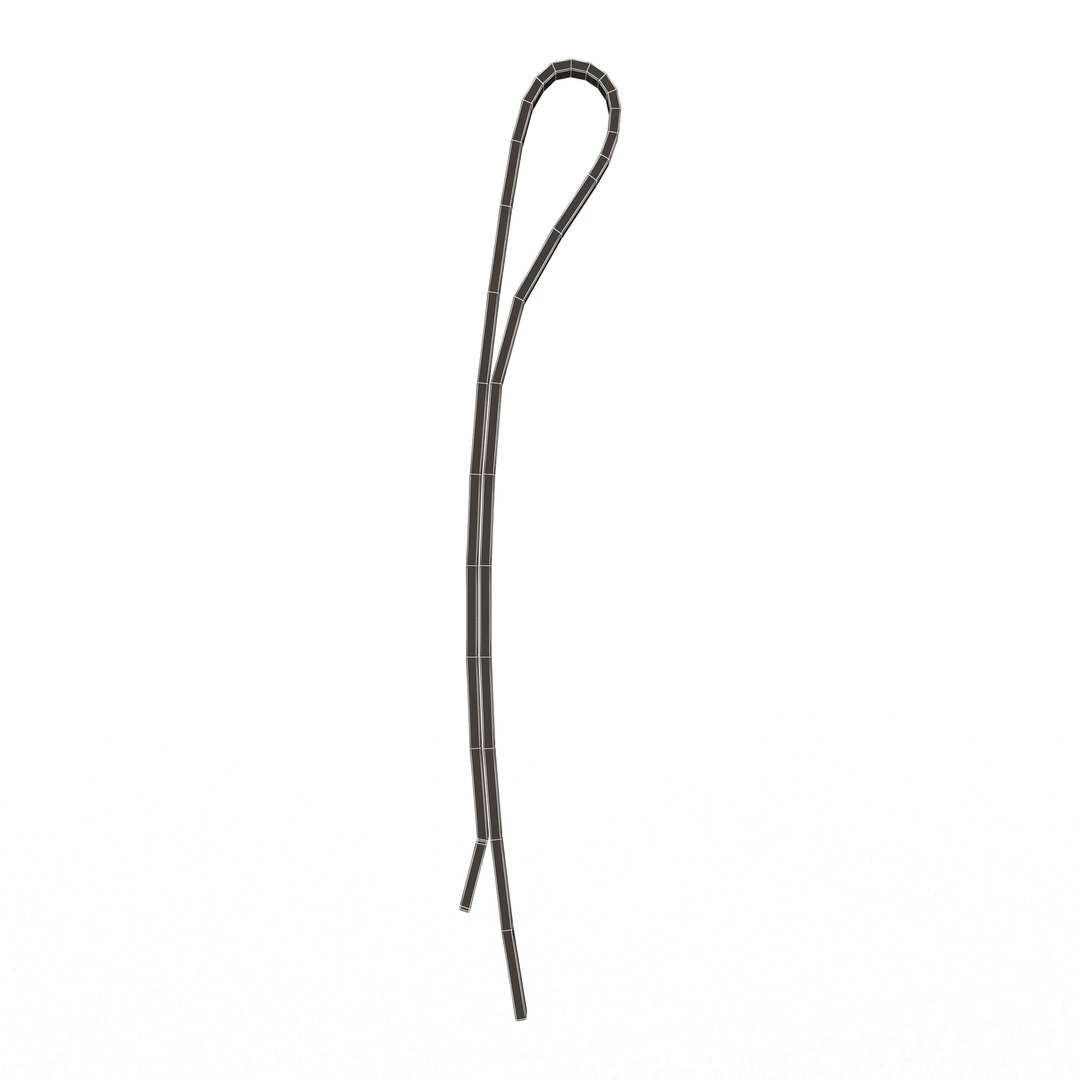 3D Hairpin 02 model https://p.turbosquid.com/ts-thumb/3r/KXCqfS/Yy/wireframelowhairpin021/jpg/1676478865/1920x1080/fit_q87/57870d5b389308869dababed8b2b92c311f5d231/wireframelowhairpin021.jpg