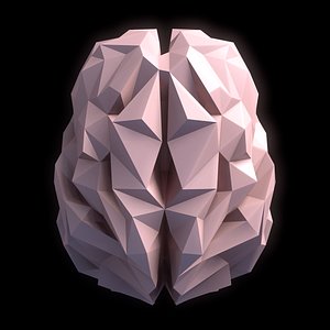 Brain low-poly