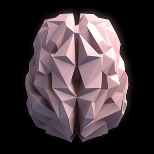 Brain low-poly