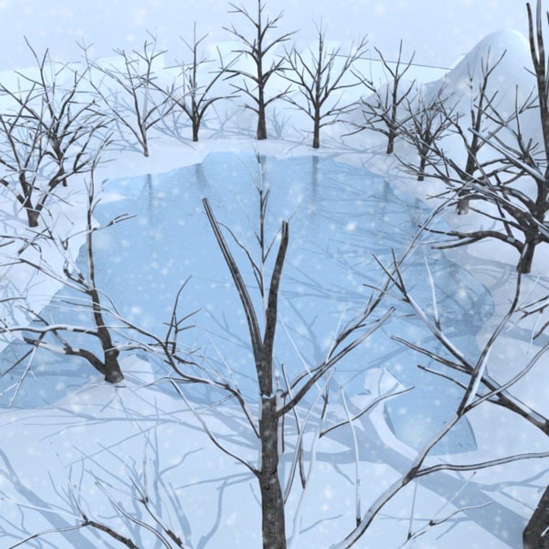 3d Winter Scene Lake Broadleaf Model