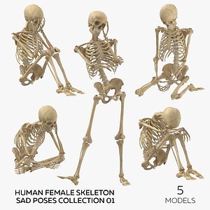 Human Female Skeleton Sad Poses Collection 01 - 5 models model