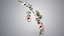 Cherry Blossom Branch