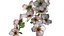 Cherry Blossom Branch