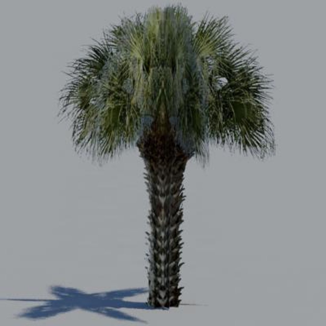 16 palm trees 3ds https://p.turbosquid.com/ts-thumb/3r/g5r4mp/1TDK9BUG/paa08/jpg/1200930380/1920x1080/fit_q87/5aacae040a668e5740723b9ed01d02afd77e2ee3/paa08.jpg