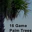 tree palm 16