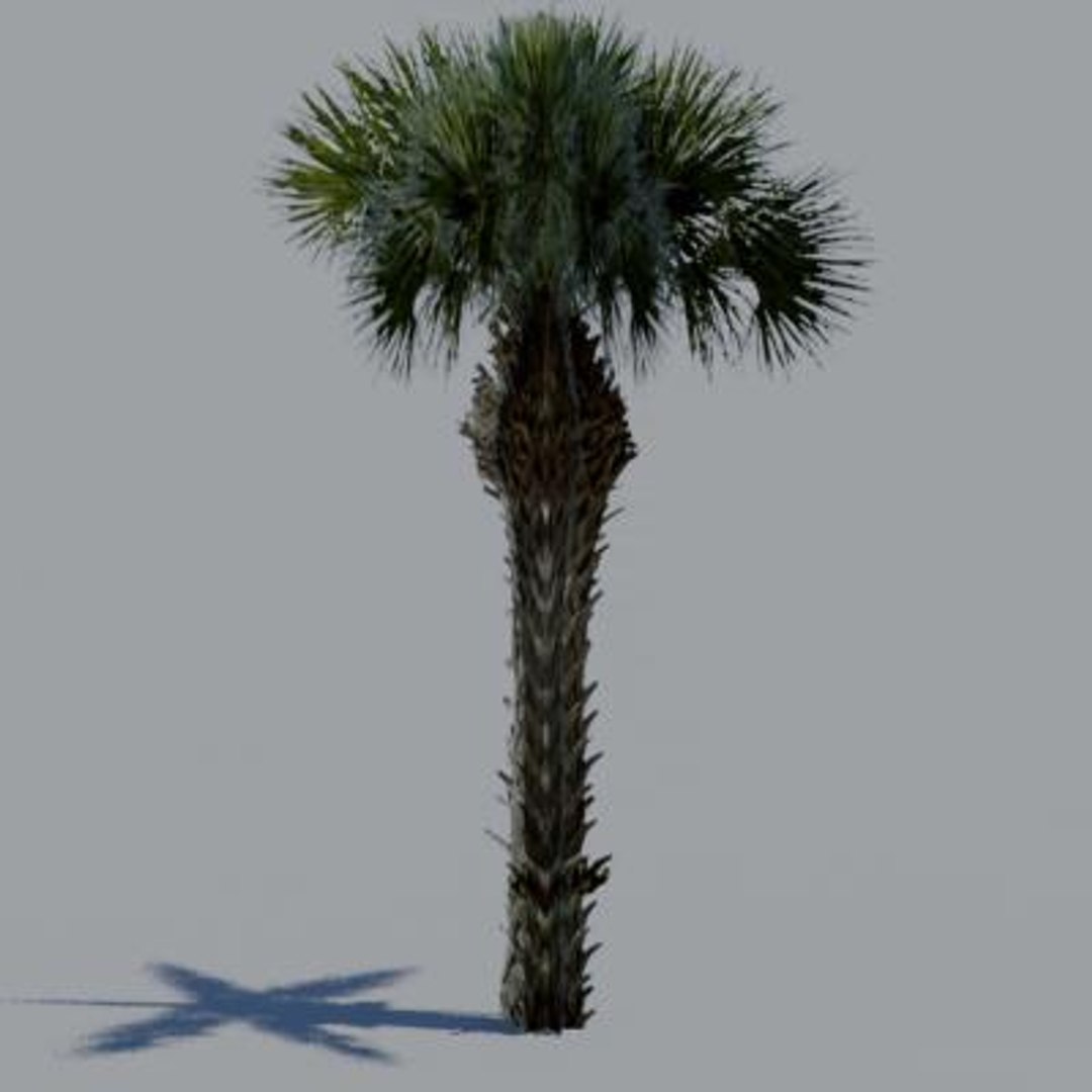 16 palm trees 3ds https://p.turbosquid.com/ts-thumb/3r/g5r4mp/Zn6ge3yi/paa06/jpg/1200930369/1920x1080/fit_q87/55bb9cc59d07ac3c6f29f7e0a06c04712609d08a/paa06.jpg