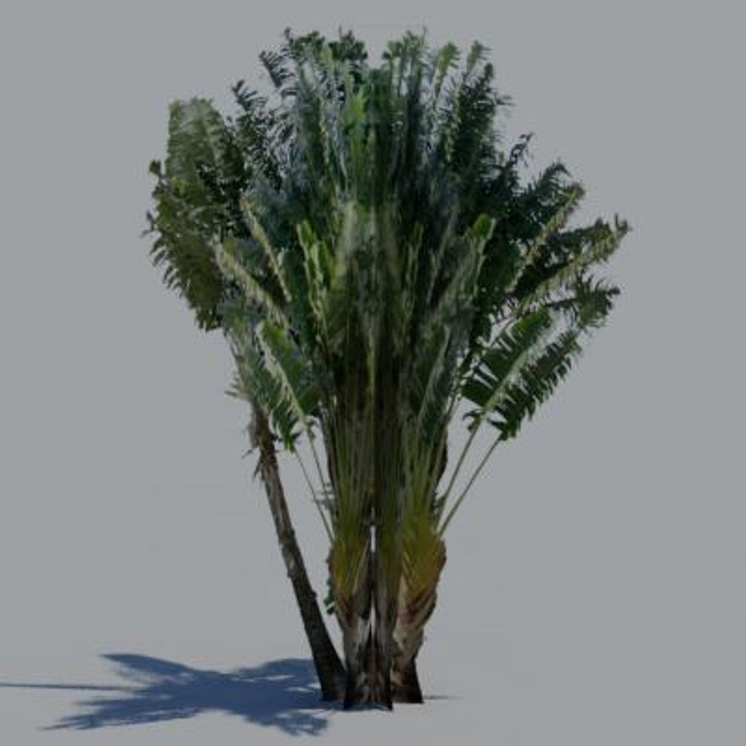 16 palm trees 3ds https://p.turbosquid.com/ts-thumb/3r/g5r4mp/bqxp4DH7/paa03/jpg/1200930353/1920x1080/fit_q87/eb1018ebc58e4fc12f1e1e3958daac9a7f914d46/paa03.jpg