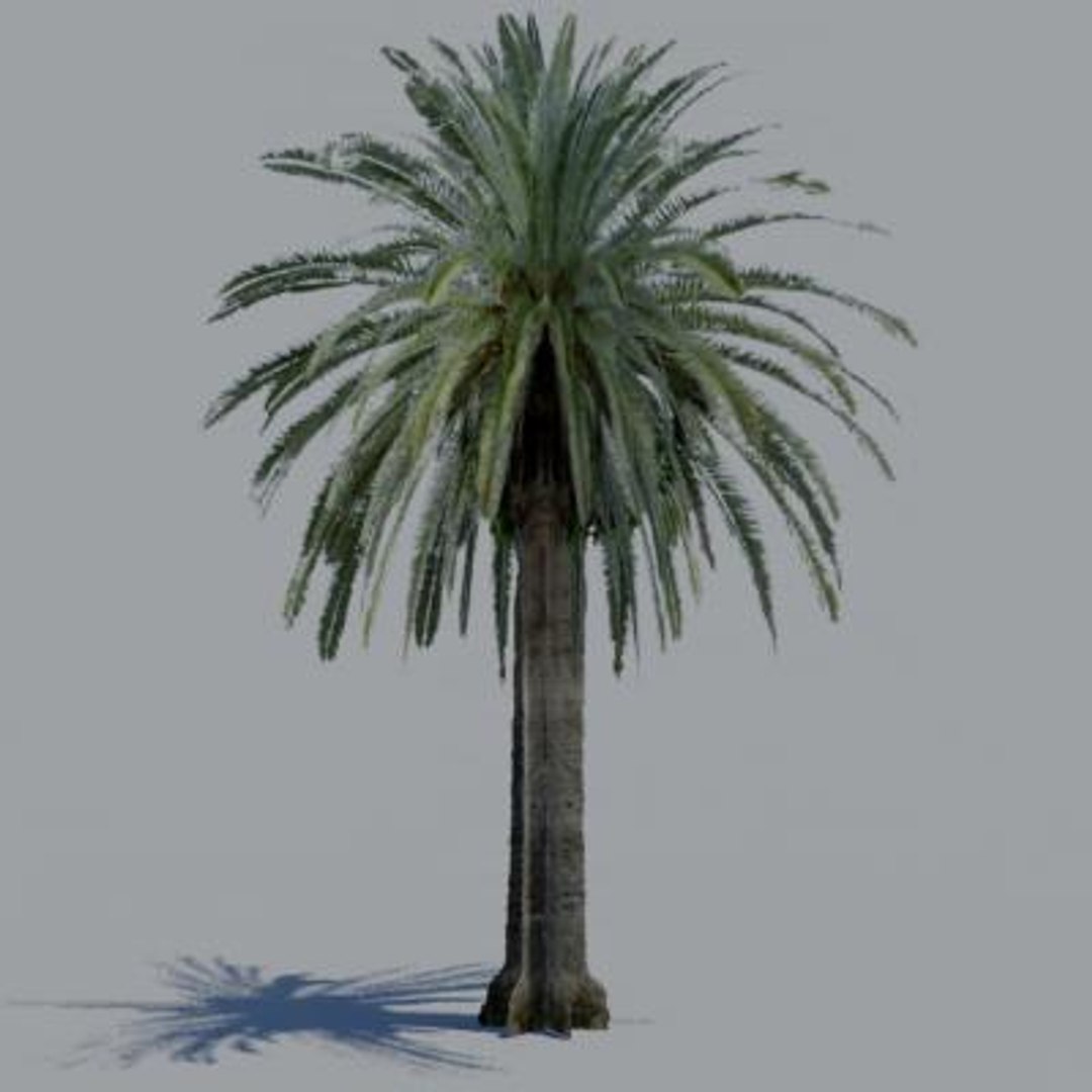 16 palm trees 3ds https://p.turbosquid.com/ts-thumb/3r/g5r4mp/gd0mxvyt/paa09/jpg/1200930385/1920x1080/fit_q87/2b9773cb87799429e7eb23409a989d6802815999/paa09.jpg