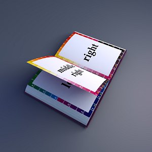 Rigged book Template