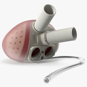Biventricular Mechanical Heart Device with Flexible Cannula 3D model