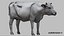 Cow Fur Rigged 3D 3D model
