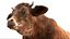 Cow Fur Rigged 3D 3D model