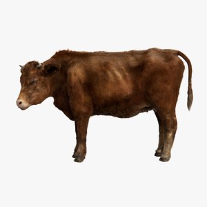 Cow Fur Rigged 3D