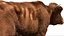 Cow Fur Rigged 3D 3D model