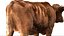 Cow Fur Rigged 3D 3D model